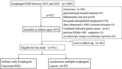 Clinicopathological characteristics of synchronous multiple primary early esophageal cancer and risk factors for multiple lesions